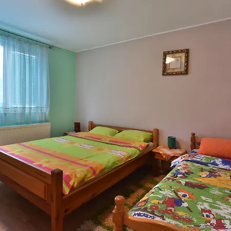 Pensiune Sofija Zlatibor